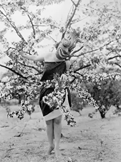 Javanese Dancer Drucke: Javanese Masked Dancer