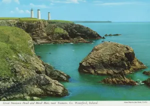 Bildhauerei Drucke: Großes Haus von New Town und Metallmann, nahe der Strände von Tramore in Kilkenny