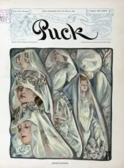 Puck Magazine Art Drucke: June flowers