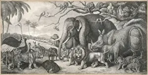 Tiere im Dschungelgruppen