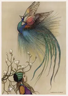 Die Tanne des Junipers