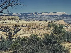 Kanan - Utah