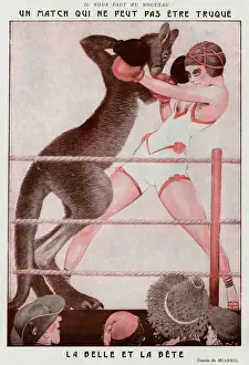 Boxkampf der Kangarue