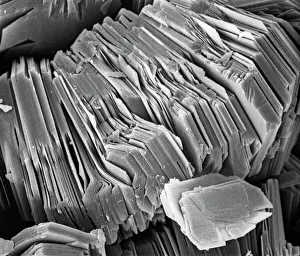 Scanning Electron Microscope Images Drucke: Kaolinite