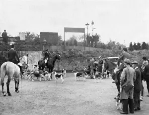 Drucke von Ein Treffen der West-Kent-Foxhunde im Jahrzehnt zwanzig in Kemsing Bahnhof, Großbritannien Verwandte Bilder Drucke: Kentischer Fuchs Treffen