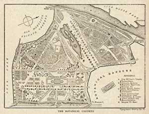 Kew Royal Botanic Gardens Drucke: Kew - Arboretum Plan