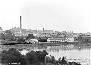 Irish Countryside Images Drucke: Killyleagh