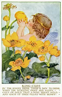Postcard Collection For Kids Drucke: King cups