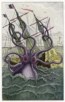 Der Krake greift ein Schiff an