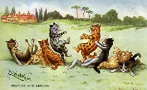 Louis Wain Artwork Drucke: L Wain. Oranges & lemons