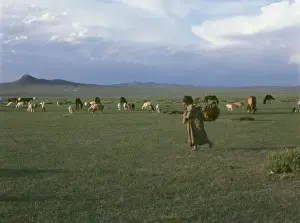Mongolian Landscape Drucke: Landscape at Burd, Mongolia