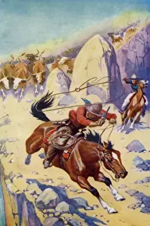 Jagen eines Viehdiebes mit Lasso