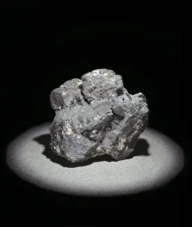 Natural History Museum London Drucke: Lead