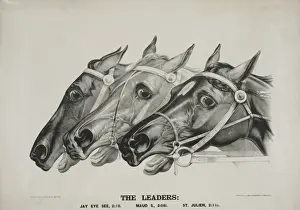 American Horse Racing Drucke: The leaders