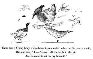 Drucke von Es war ein junges Fräulein, dessen Hut kam lose, als die Vögel darauf saßen; Aber sie sagte: Ich mache mir nichts daraus! Alle Vögel in der Luft sind herzlich willkommen, auf meinem Hut zu sitzen Edward Lear Drucke: Lear / Buch der Unsinn