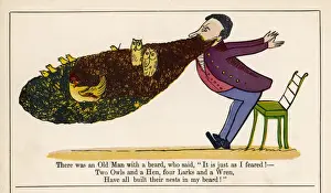Whimsical Illustrations Online Drucke: Lear / Nonsense / Man / Beard