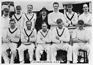 Leicestershire Drucke: Cricket Club Leicestershire