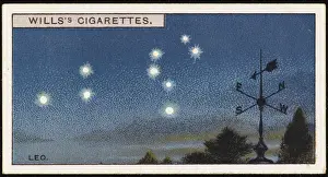 Vintage Astronomy Illustrations Drucke: Leo Constellation