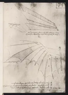 Leonardo Da Vinci Drucke: Die Flügel von Leonardo