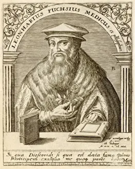 16th Century Botany Drucke: Leonhard Fuchs