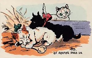 Lass die Schlafenhunde ruhen werden