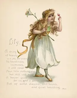 Karteikärtchen mit Lilie / Sprache der Blumen