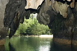 World Heritage Site Asia Drucke: Limestone formations on the exit from the cave