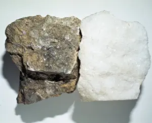 Natural History Museum Specimens Drucke: Limestone (right) and marble (left)