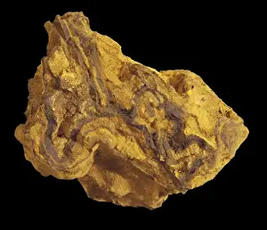 Sedimentary Rock Formation Drucke: Limonite