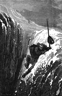 Swedish Naturalist Drucke: Linnaeus Slips