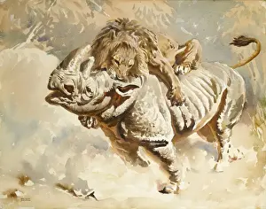 Ein Löwe angreift einen Rhinoceros
