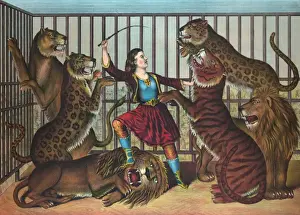 Circus Performer Drucke: The lion queen