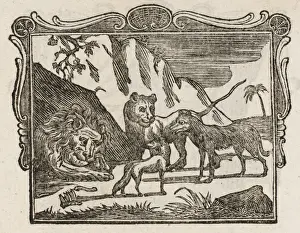 Drucke von Der kranke Löwe, der Fuchs und die Wolf: Die Tiere zeigen dem Löwen Respekt außer dem Fuchs; Der Verräter des Wolfs erzählt dem Löwen, dass seine Heilung im Fell des Wolfs liegt Äsop Drucke: Der Löwe, der Wolf und die Fuchs