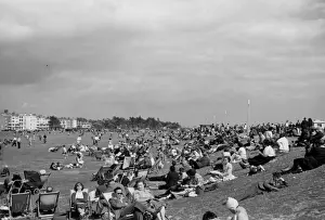 West Sussex England Drucke: Littlehampton Common