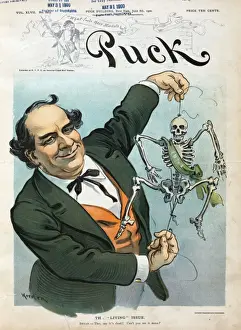 Puck Magazine Illustrations Online Drucke: The living issue