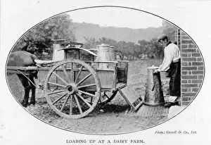 Vintage Dairy Equipment Drucke: Loading Churns at Farm