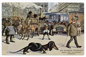 Langwüchs Hund