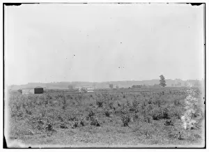 Wright Brothers Flight Drucke: Long-range view of machine on launching track, showing hanga