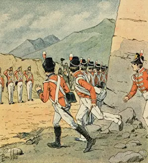 Napoleon betrachtet werden