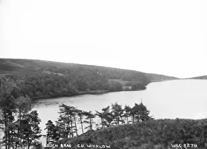Irish Coastal Scene Drucke: Lough Brae, Co. Wicklow