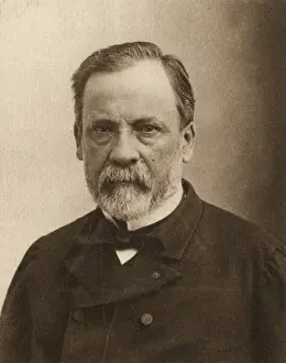 Gerahmter Druck : Ludwig Pasteur Gerahmter Druck : Ludwig Pasteur
