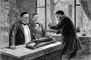 Drucke von Geboren 1822, studierte er Chemie unter Delafosse. Er entdeckte die Natur der Gärung und ging dann dazu über, seine Keimtheorie der Krankheit zu erforschen Louis Pasteur Drucke: Louis Pasteur experimentiert mit einem chloroformisierten Kaninchen.
