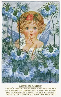 Antique Postcard Collection Drucke: Love in a mist