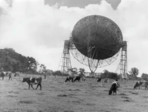 Cheshire Drucke: Lovell-Teleskop