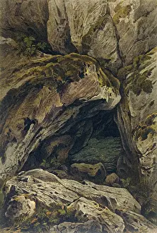 Historical Plants Drucke: Luminous Moss
