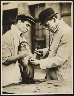 Animal Health Checkup Drucke: Lung Test / Monkey