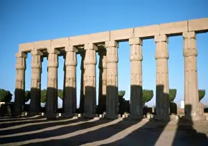 Dramatic Evening Light Drucke: Luxor Columns (Shadows)