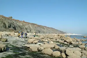 Lymperegiss