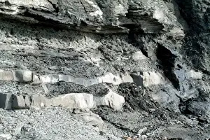 Lymperegiss