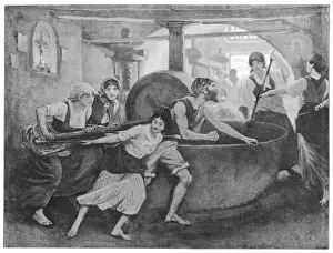 Olive Oil Production Drucke: Making Olive Oil